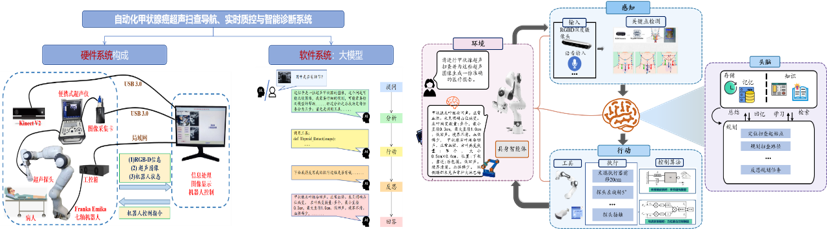 甲状腺具身智能诊断系统